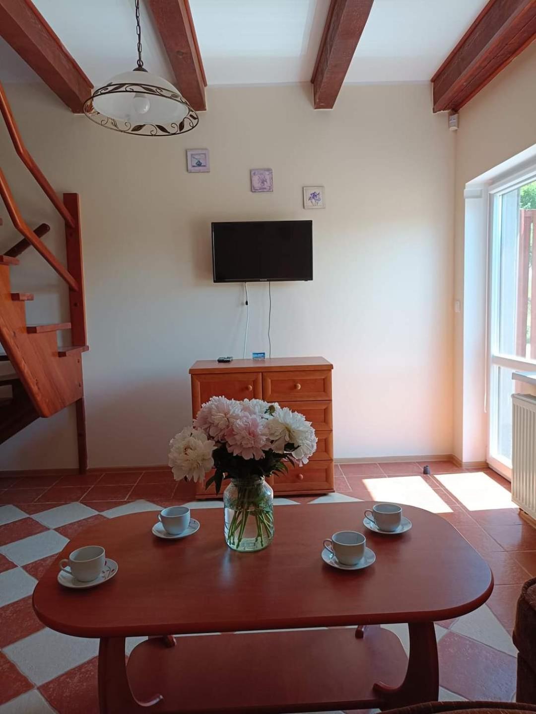 Apartamenty "Anusia" Ledzin Exterior photo